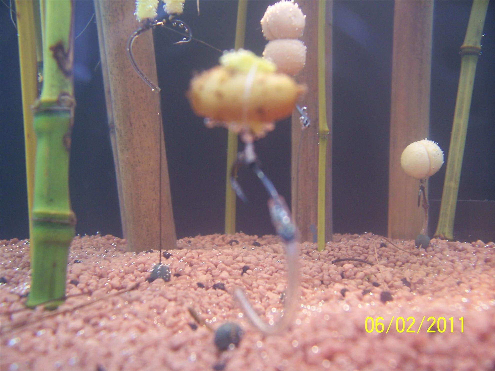 rig& baits - 1003763.JPG